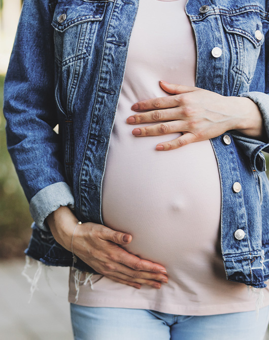 Pregnancy Assistance Center North